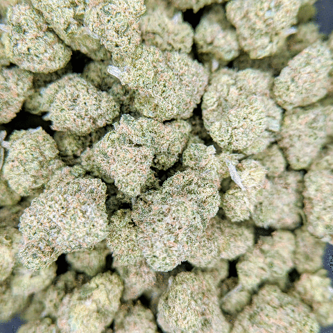 Acapulco Gold - Deli Flower - $6/g