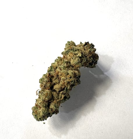 Slurricane (Williams Wonder)