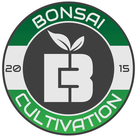 Fossil Fuel (I/H) By Bonsai