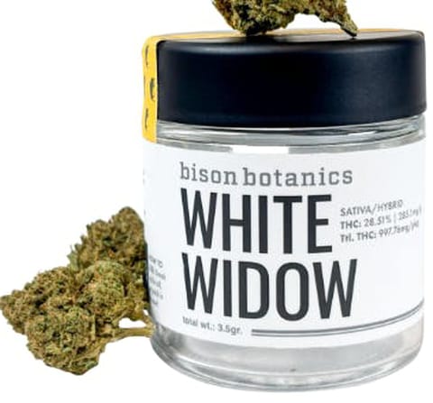 White Widow