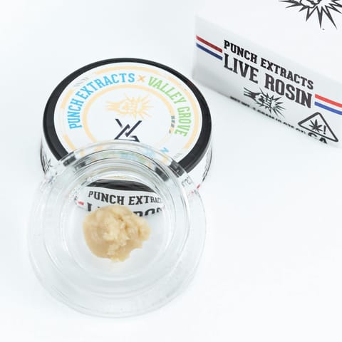 PUNCH - ROSIN BADDER - HONEY HORIZON TIER 3 - 1G