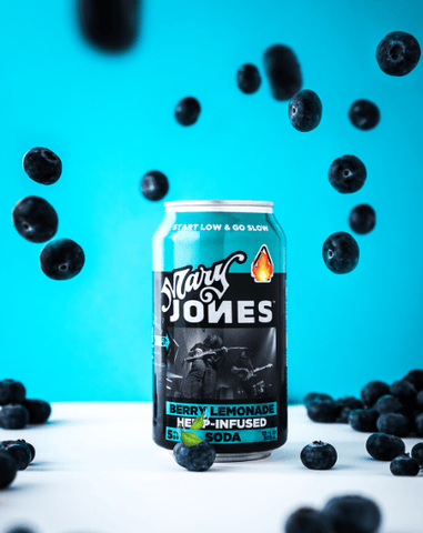 (REC) Mary Jones Soda - Berry Lemonade