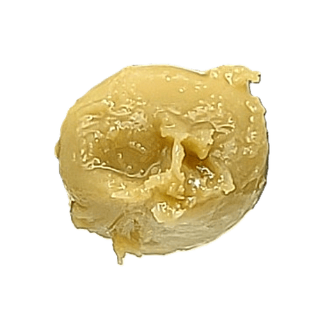 FULL SPECTRUM LIVE ROSIN | BANANA BOTTOM JEANS | HYBRID | 1 GRAM