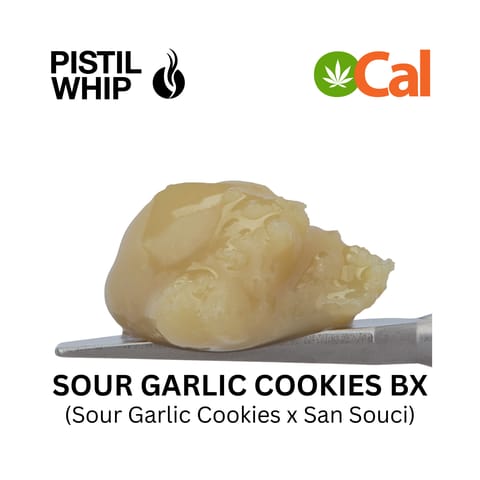 PISTIL WHIP - ROSIN BADDER - SOUR GARLIC COOKIES BX - 1G