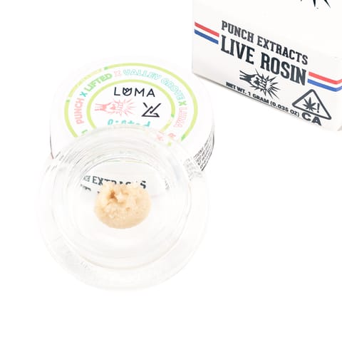 Punch | Mac | Tier 2 | Rosin | Hybrid | 1g