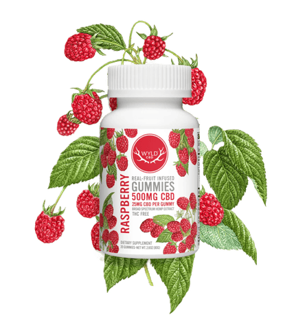 WYLD | REAL FRUIT- HEMP INFUSED GUMMIES | RASPBERRY | 500MG CBD TOTAL | 20 PIECES