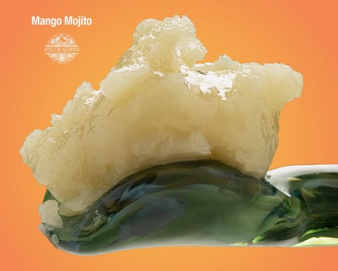 Focus North | Mango Mojito Live Rosin | 1g