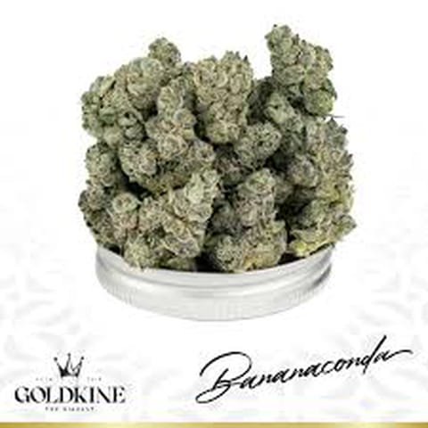 Bananaconda - Goldkine - Bulk Flower**