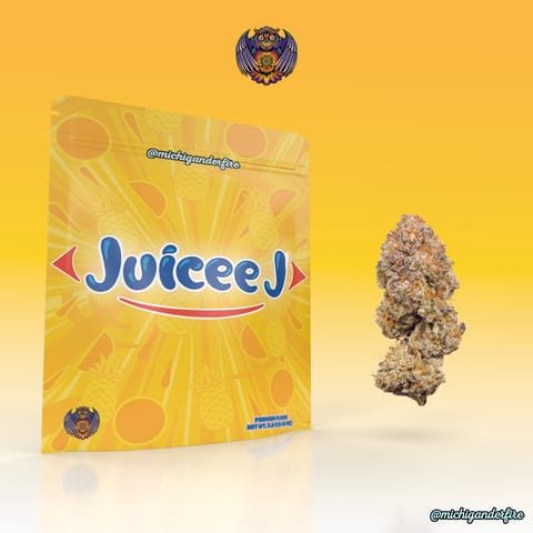 Michigander Fire 2.5g Multi Pack - Juicee J