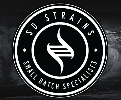 SD STRAINS | GUSH MINTZ | 3.5G
