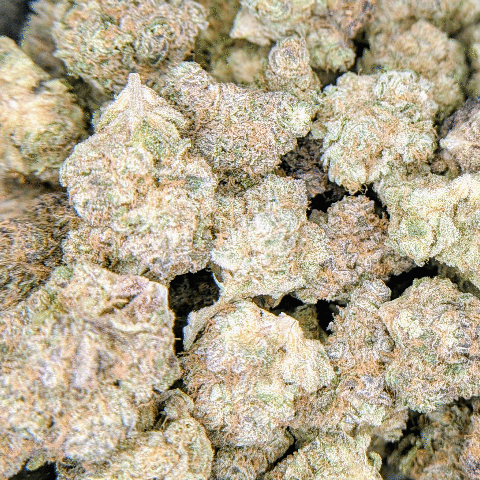 Funk Bomb - Deli Flower - $5/g