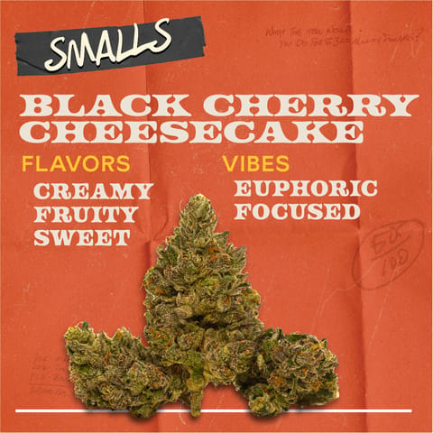 Black Cherry Cheesecake - 7g Smalls Flower