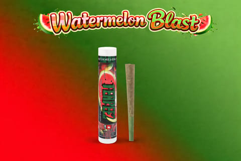 Watermelon Blast 1G Infused Preroll (Terpeez)
