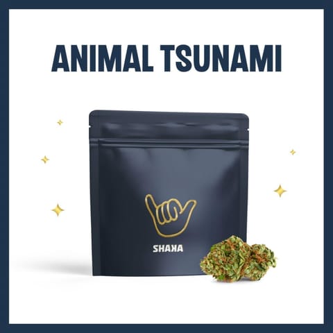 Animal Tsunami