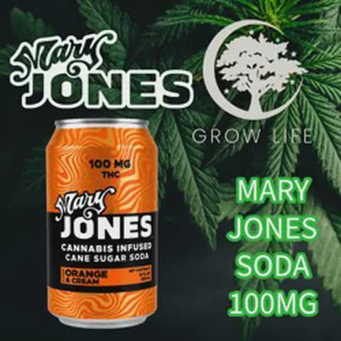 Mary Jones Soda Orange Cream 100mg (MED)