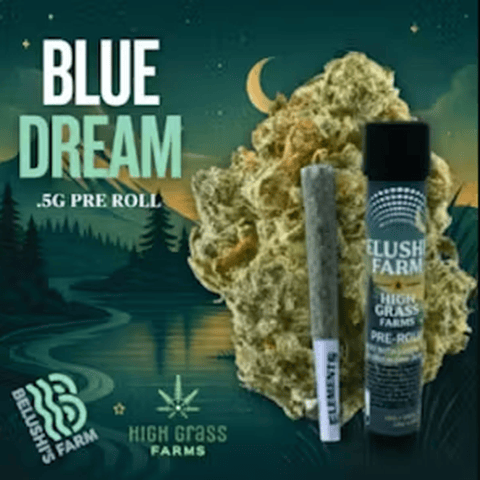 Blue Dream - Pre-Roll (1.0g)