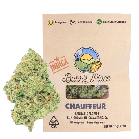 Burr's Place | Chauffeur (I) | 3.5g Sungrown Flower - BOTH - 3.5g - Packed