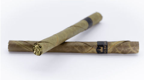 Pave - 1g KING PALM