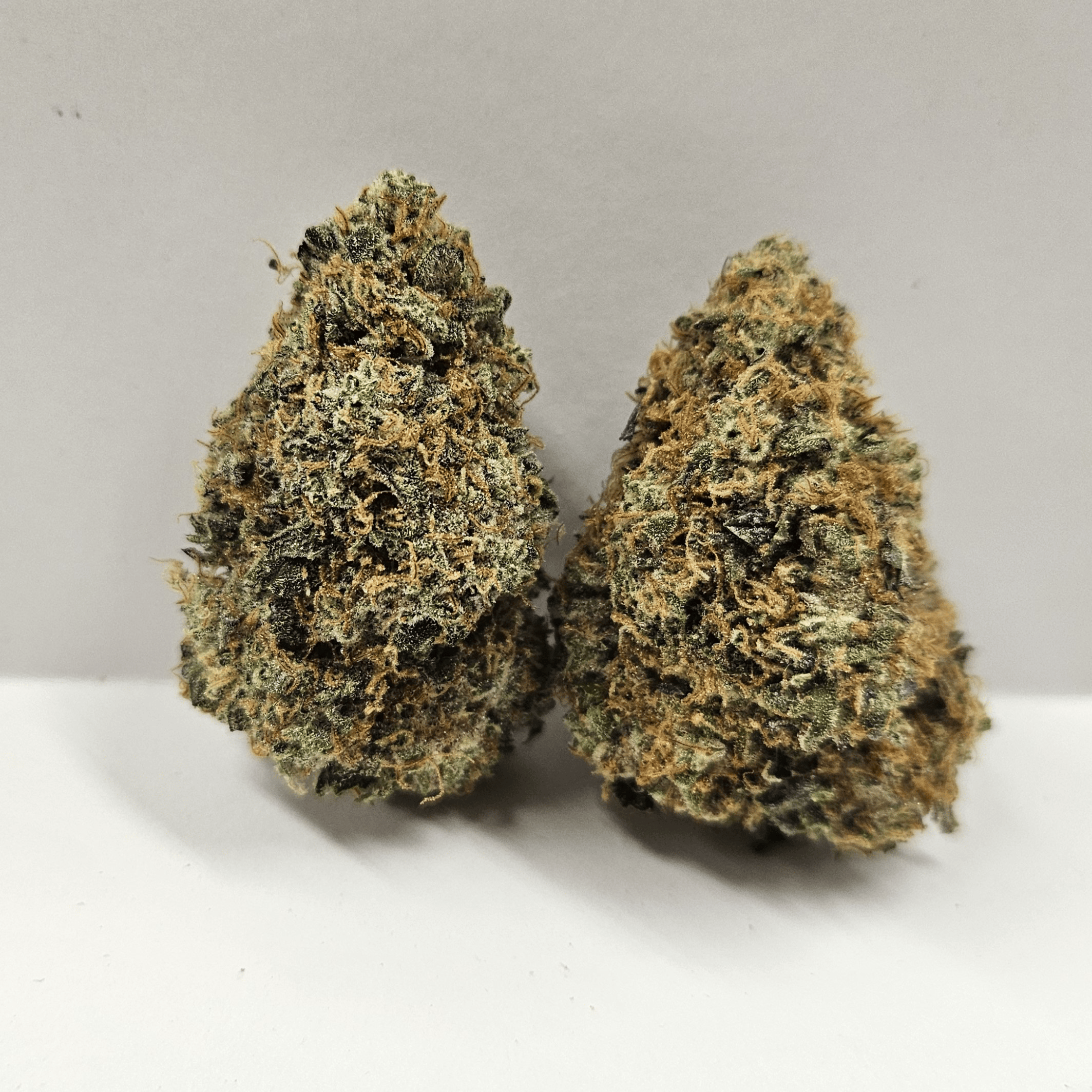 Portal Cannabis | OMG