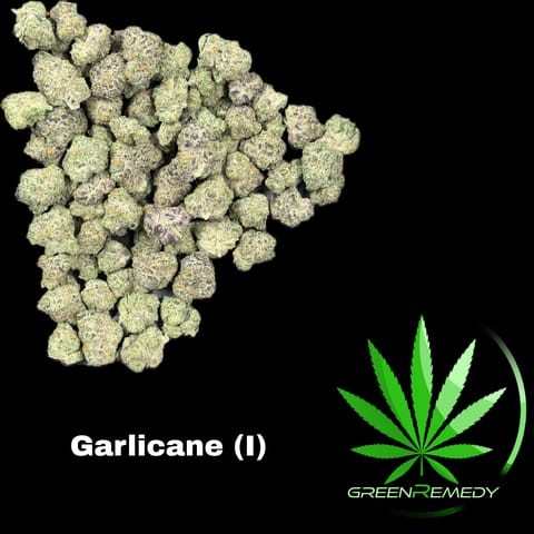Garlicane