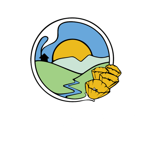 Burr's Place | Ze Chem (S) | 28g Sungrown Flower