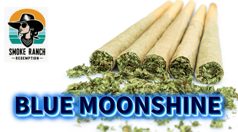 Blue Moonshine 1g Preroll Smoke Ranch