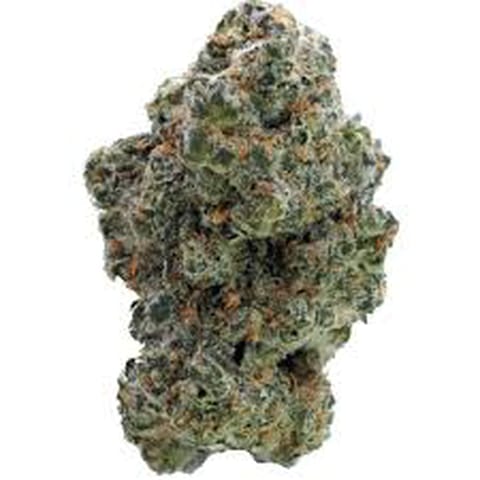 Platinum Punch Breath | Dr. Jc's Exotics - 14g