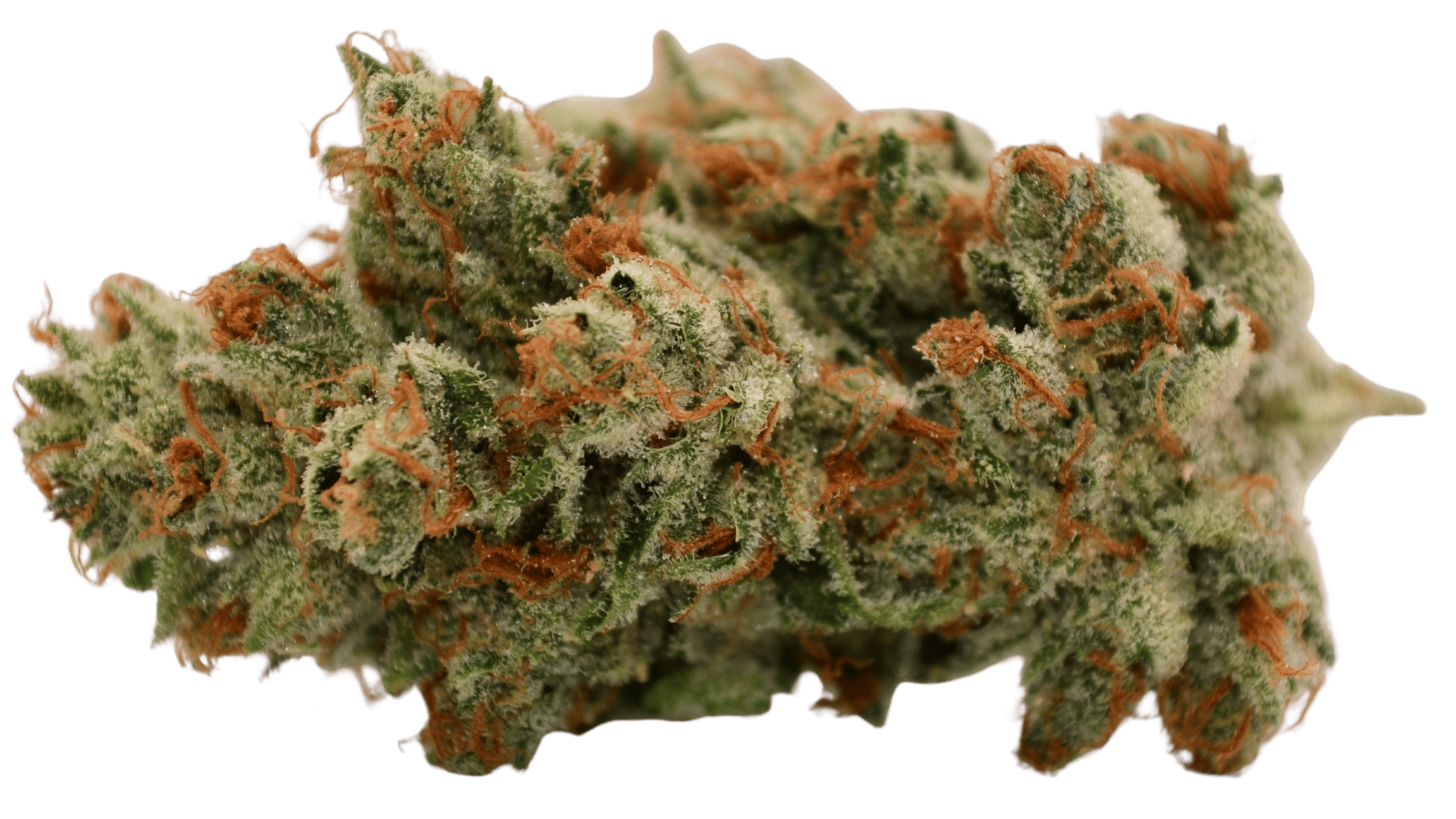 Garlic Drip - Quarter (7g)
