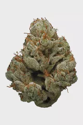 D2D | Flower | Pre-Pack 3.5g | 1pk | Pineapple Donut (HYB) | Assorted