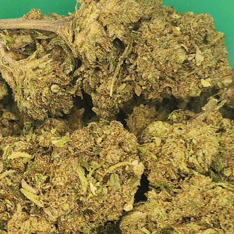GreenCo | Sherbcake x Blue Star | Hybrid | 28g | Flower