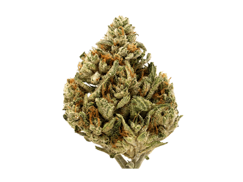 CBG FLOWER | SOUR G | HYBRID | 3.5 GRAMS | 1/8TH OZ