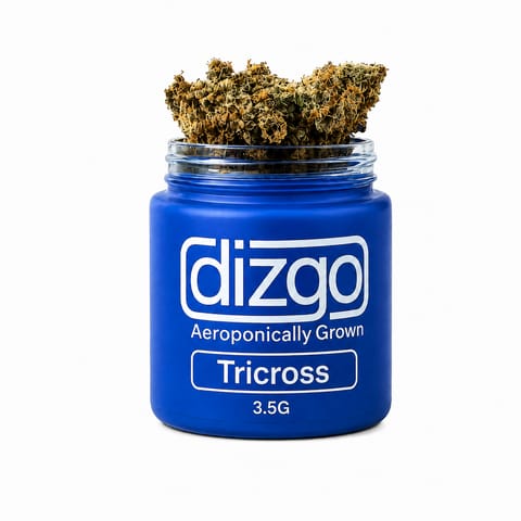 Dizgo Collective | TriCross | 3.5g