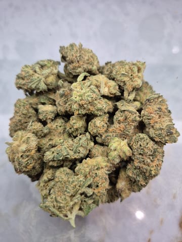 Golden Tropic