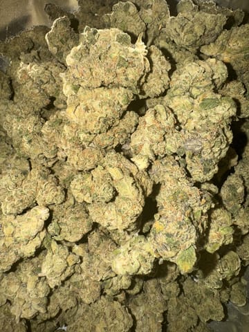 Spritzer Buds - MED