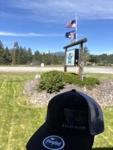 Baseball Cap - Starrbuds - Womens - $25
