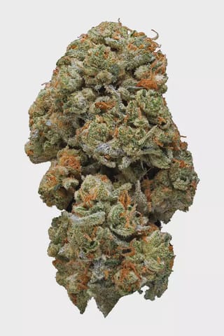 Blue Pave - Premium