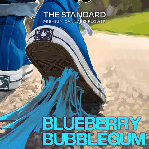 The Standard - Blueberry Bubble Gum - 3.5g PrePack Flower
