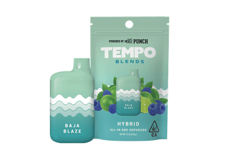 TEMPO - THC ALL IN ONE - BAJA BLAZE - 1G