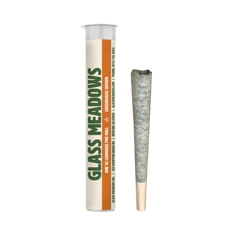Spritzer 1 Pack 1G