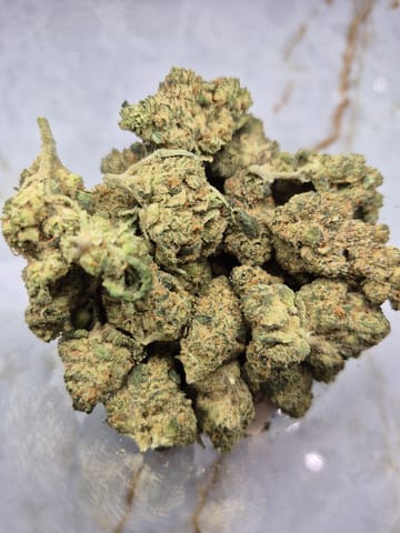 Biker 91 Pie