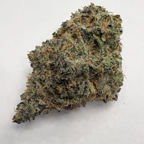Wicked Kind | Cosmic Zkittles