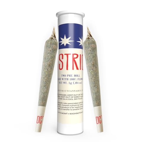 Pave |  Pre-Roll | 2pk