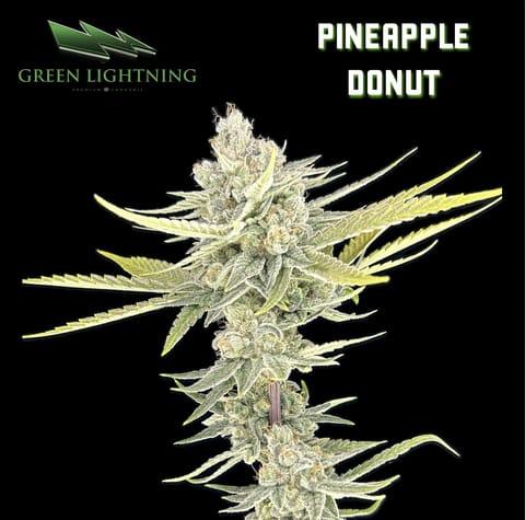 Pineapple Donut - Smalls (7g)