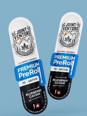 Joint Venture | Blueberry Caviar | 1G | Preroll