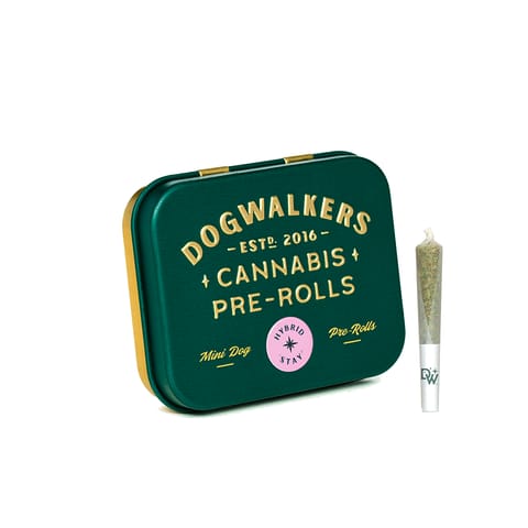 Dogwalkers | Pre-Roll | - Afternoon Delight #4 | Mini Dog | 0.35g x 5