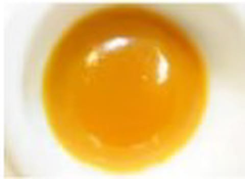 CBD - 1g GMO - BUDDER