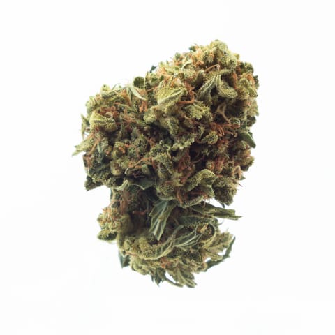 Maggie's Farm | Popcorn | Happy Camper | I | 28g