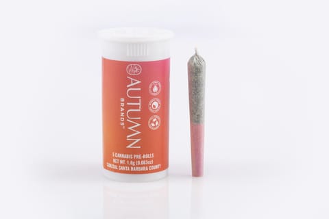 Autumn Brands Grapefruit Jack - Sativa 5pk / 1.8g