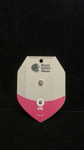 Feminized Seeds - AMG FEM