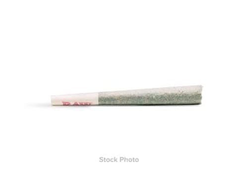 Candy Fumez | Pre-Rolls - 2 x 0.5g